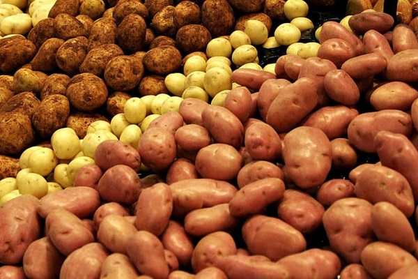Министр торговли Казахстана наладит поставку картофеля